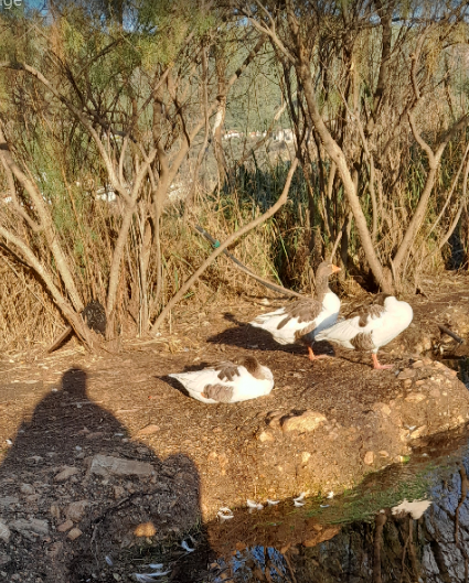 “"kendinizi, kendinizle zaman geçirmeyi
yalnızlık sanmayacağınız şekilde yetiştirin.”
-Andrey Tarkovski-
