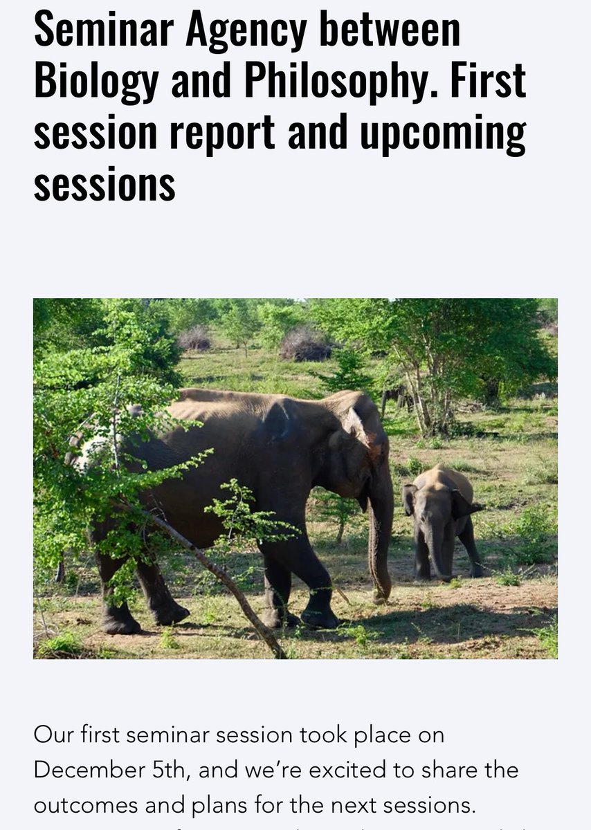 Animal Inventiveness Research Project tweet media