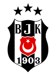 endoplazmik retikulum/𐱅𐰇𐰼𐰰 tweet media