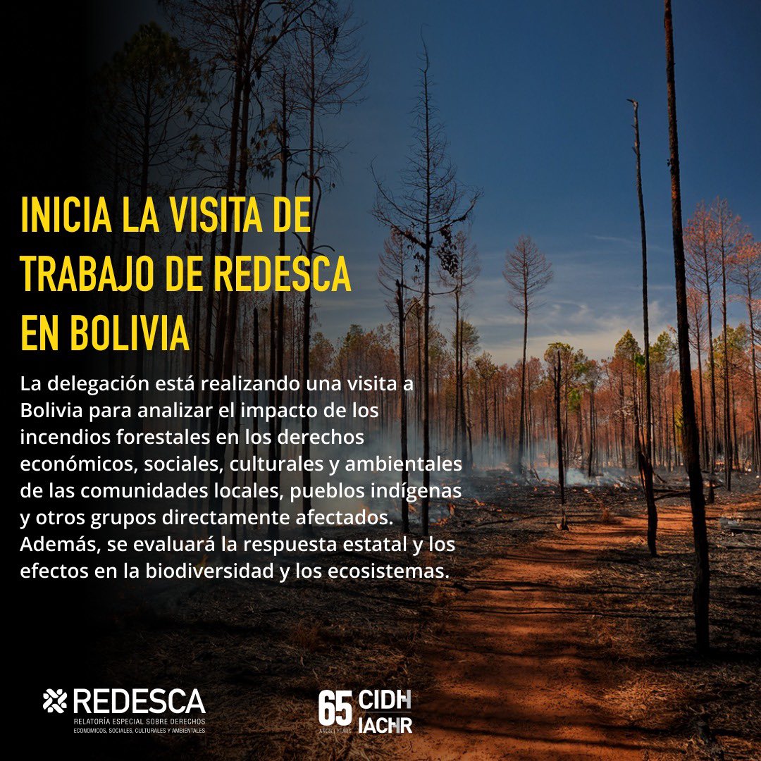 🌎Visita a Bolivia🇧🇴

La delegación está realizando una visita a Bolivia para analizar el impacto de los incendios forestales en los derechos económicos, sociales, culturales y ambientales de las comunidades locales, pueblos indígenas y otros grupos directamente afectados.