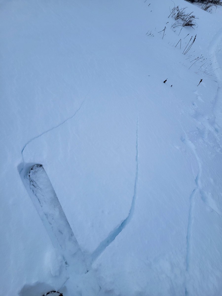 Y aquí, el boletín nivológico!
nivo.3000ibones.com
#pirineo #nieve #valledetena #skimo3000ibones