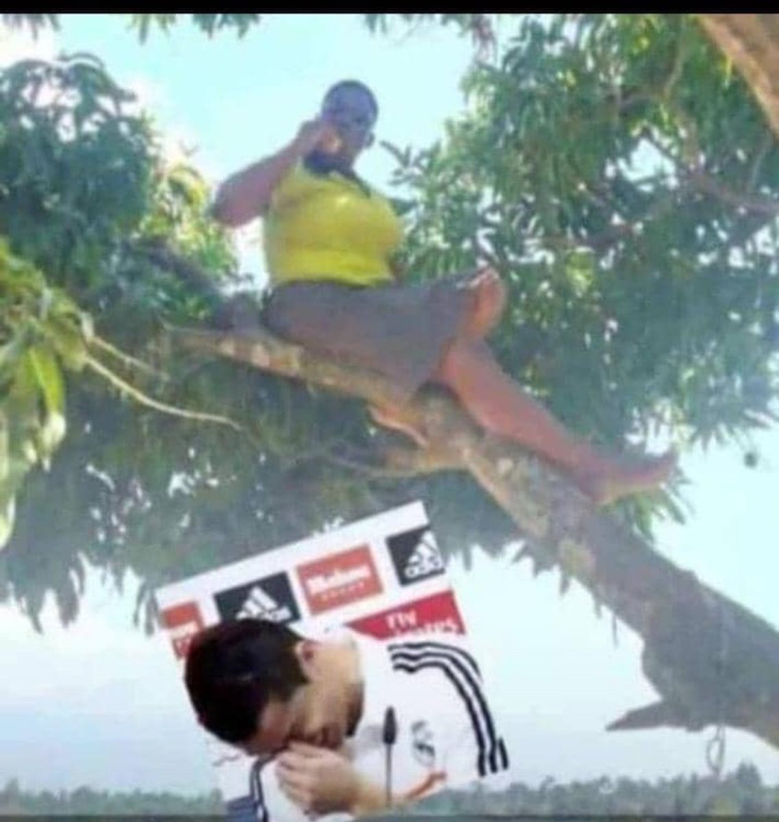 ChitamiBakers tweet media