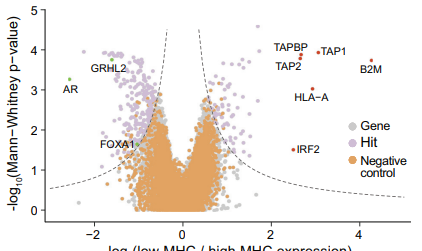Elizabeth McKenna tweet media