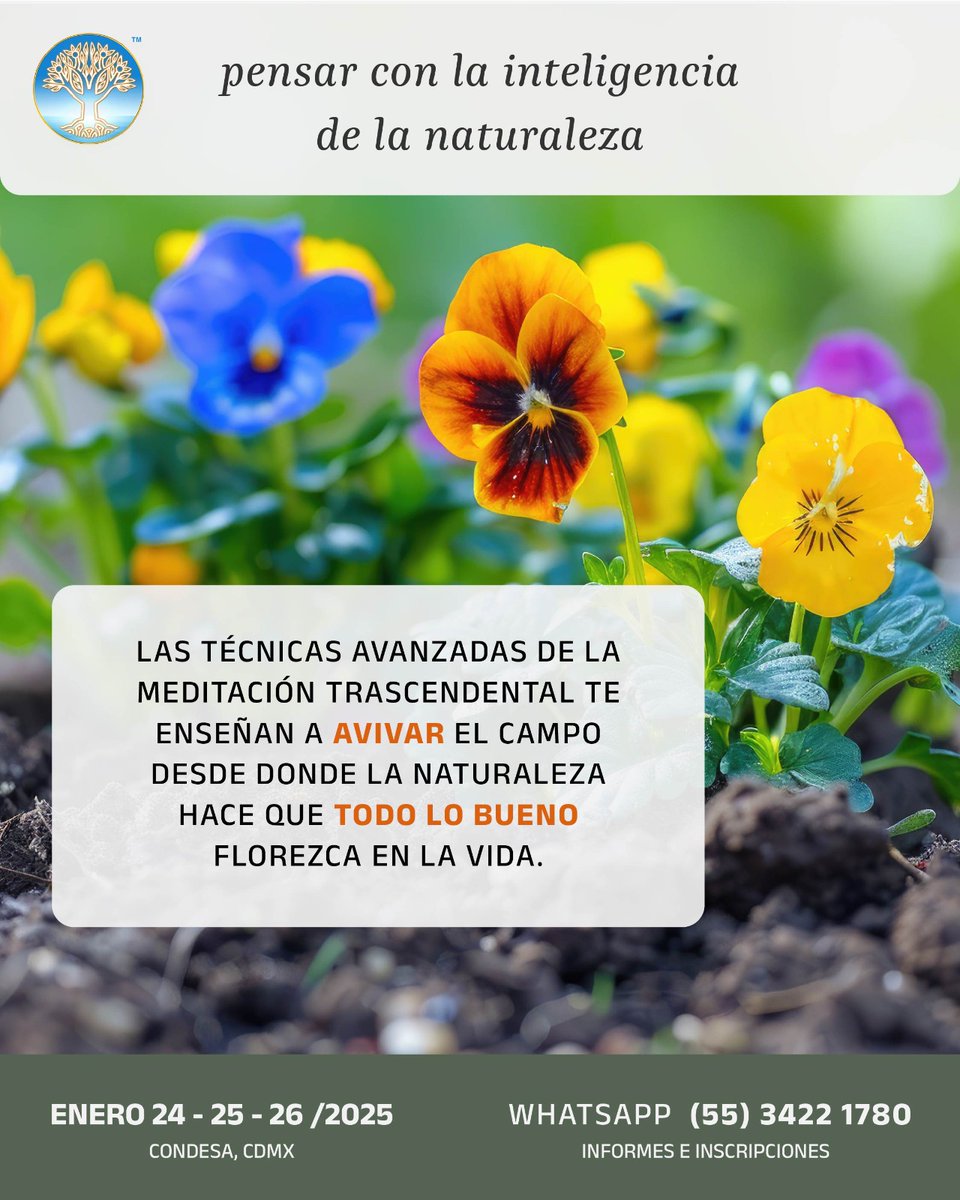 Si ya practicas la Meditación Trascendental te invitamos a una presentación especial vía Zoom donde disfrutarán de un video de Maharishi  explicando el poder de la Técnicas Avanzadas 
Fecha: Jueves 12 de diciembre Hora: 19:30 - 20:30
Más información WhatsApp al 5534221780