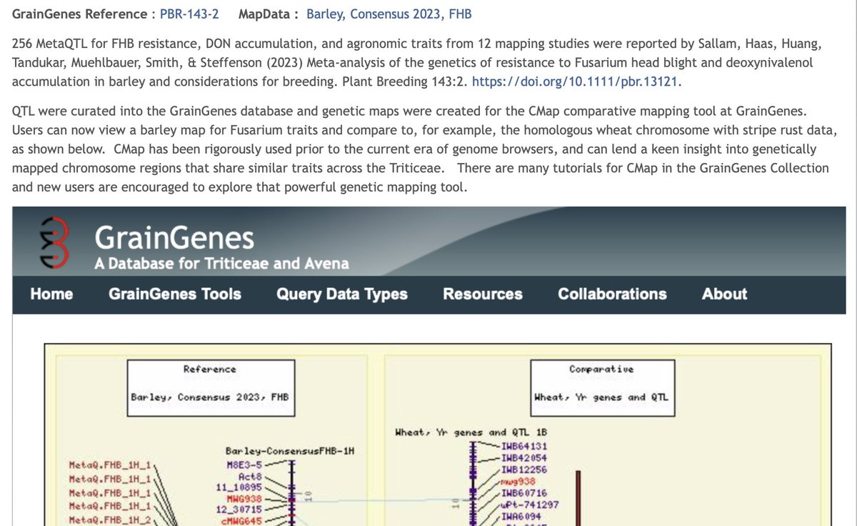 GrainGenes tweet media