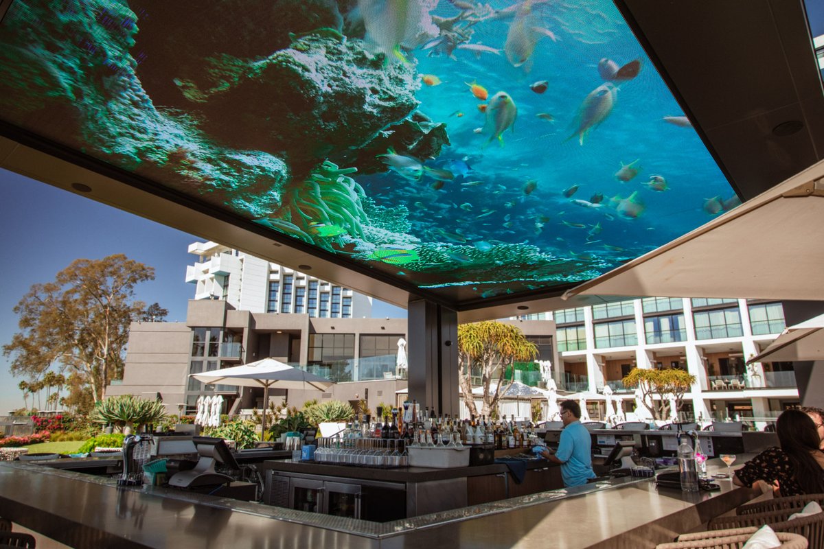 pixelflexled's tweet image. Whether you’re soaking up the views or enjoying the innovative atmosphere, the Edge Bar is a destination that truly wows. Check out the full case study to see how tech and luxury meet: pixelflexled.com/portfolio-item…

#EdgeBar #NewportBeach #LEDInnovation #TropicalVibes #VEAResort