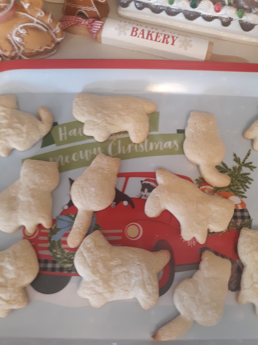 Made some cat christmas cookies over the weekend😻❤
