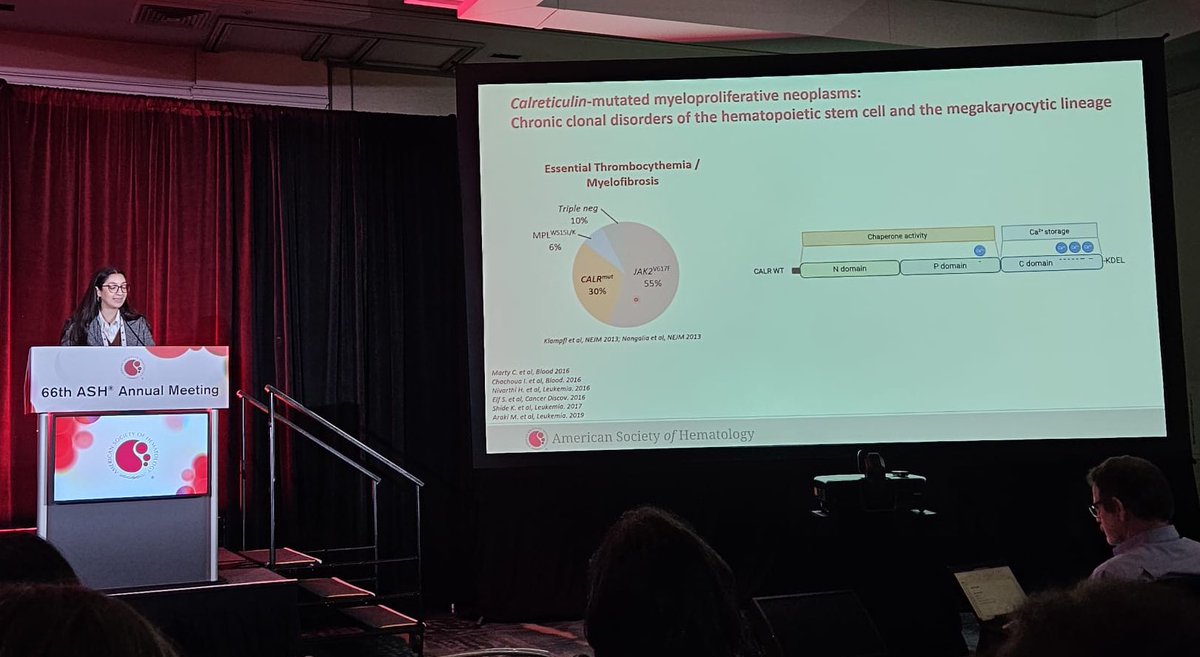 Alex Rampotas tweet media