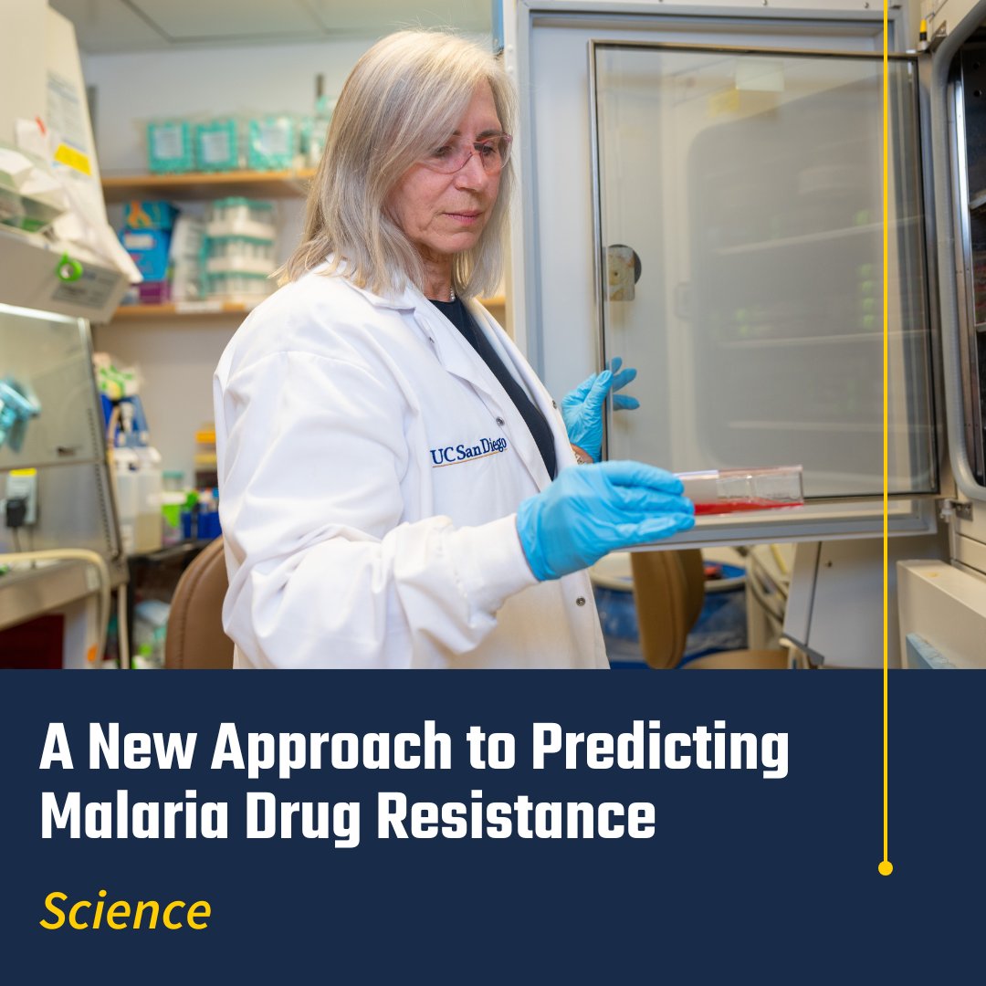 A new <a href="/ScienceMagazine/">Science Magazine</a> study by #malaria expert Elizabeth Winzeler (@ElizabethWinze1) and her team analyzed the genomes of hundreds of malaria parasites to reveal which variants likely confer drug resistance—paving the way for more effective treatments ➡️
rebrand.ly/wha3rny