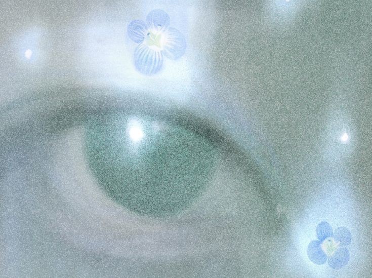 rean .𖥔 ݁ ˖ tweet media