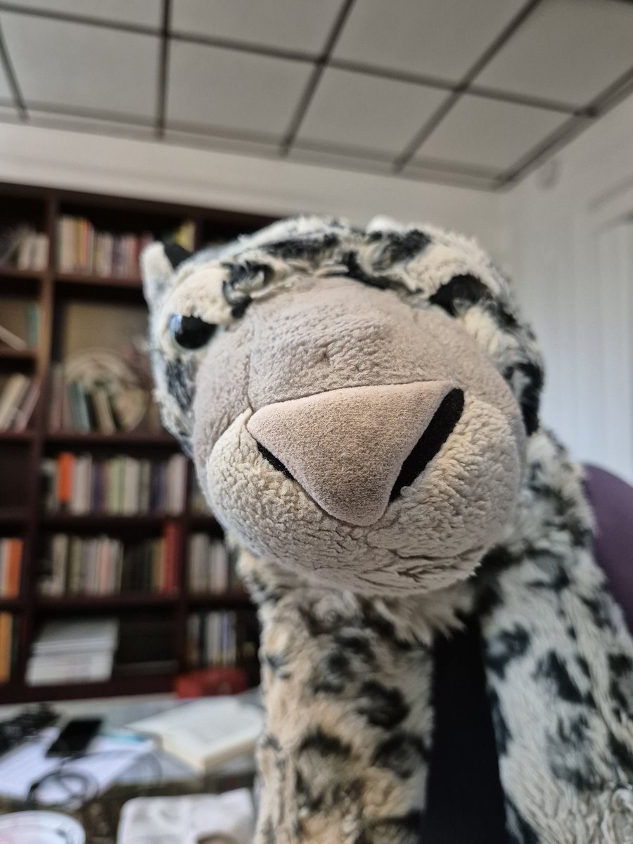 melifonos's tweet photo. #askew #parallelogram #snowleopad https://t.co/C4oKwcu2yJ