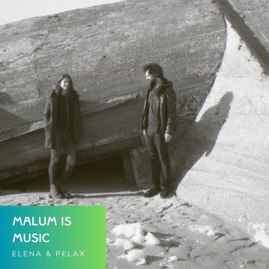 Malum Rex tweet media