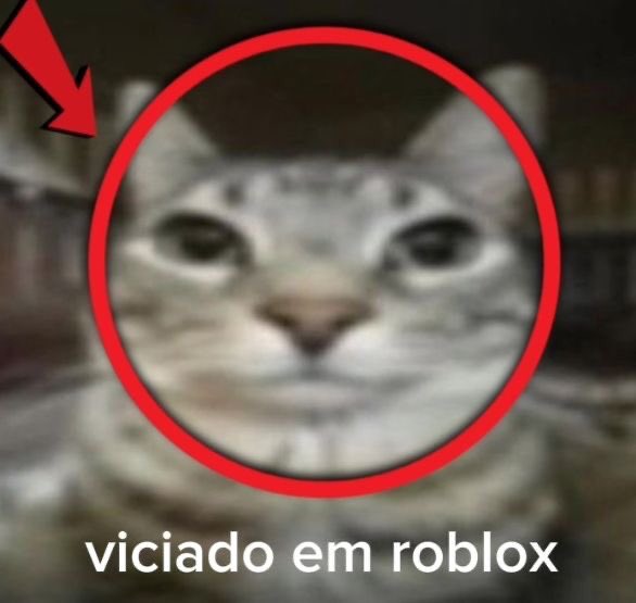ContextoRoblox's tweet photo. https://t.co/fj48EfvYQZ