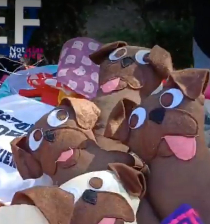 PugsSix's tweet photo. @EfNoticiasmex @alcaldiabeju @AdrianBruzzone @EnlaceDelValle Saaaaaliiiiiimooooos en la portadaaaa!! 🐶🐶
Gracias🙏 por la oportunidad! Maravilloso #bazar
#pugcitos  
#puglover https://t.co/XHRJ2EPVhO