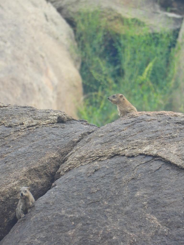 Photo by <a href="/abdmmoals8/">عبد الله محمد القرني</a>  #SaudiArabia