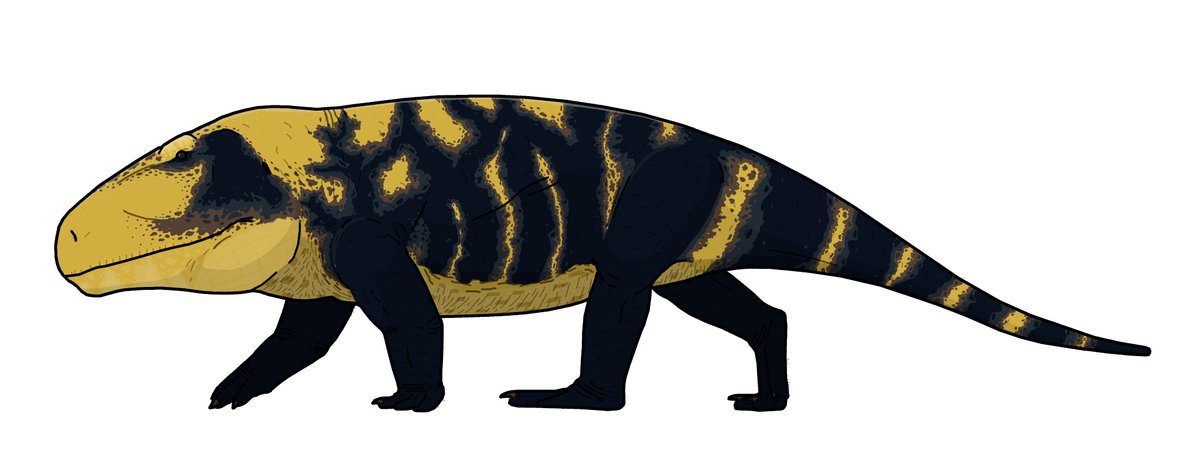 BVisigodo's tweet photo. A reconstruction a did a bit back for a thing:)
#paleoart #sciart #archosauromorph #triassic https://t.co/E3v7JNhJIy