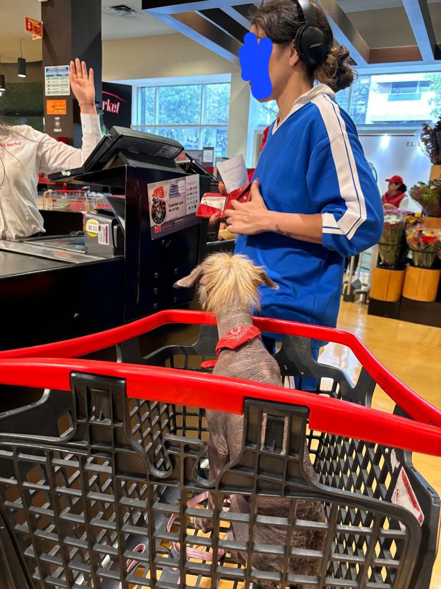Gerardoordmo's tweet photo. @dlcnea_toboso Estoy de tu lado. Creen correcto esto? Y todavía la mujer se enoja qué le reclamé. Y los del City Market como si nada. https://t.co/oWAB20Xzp2