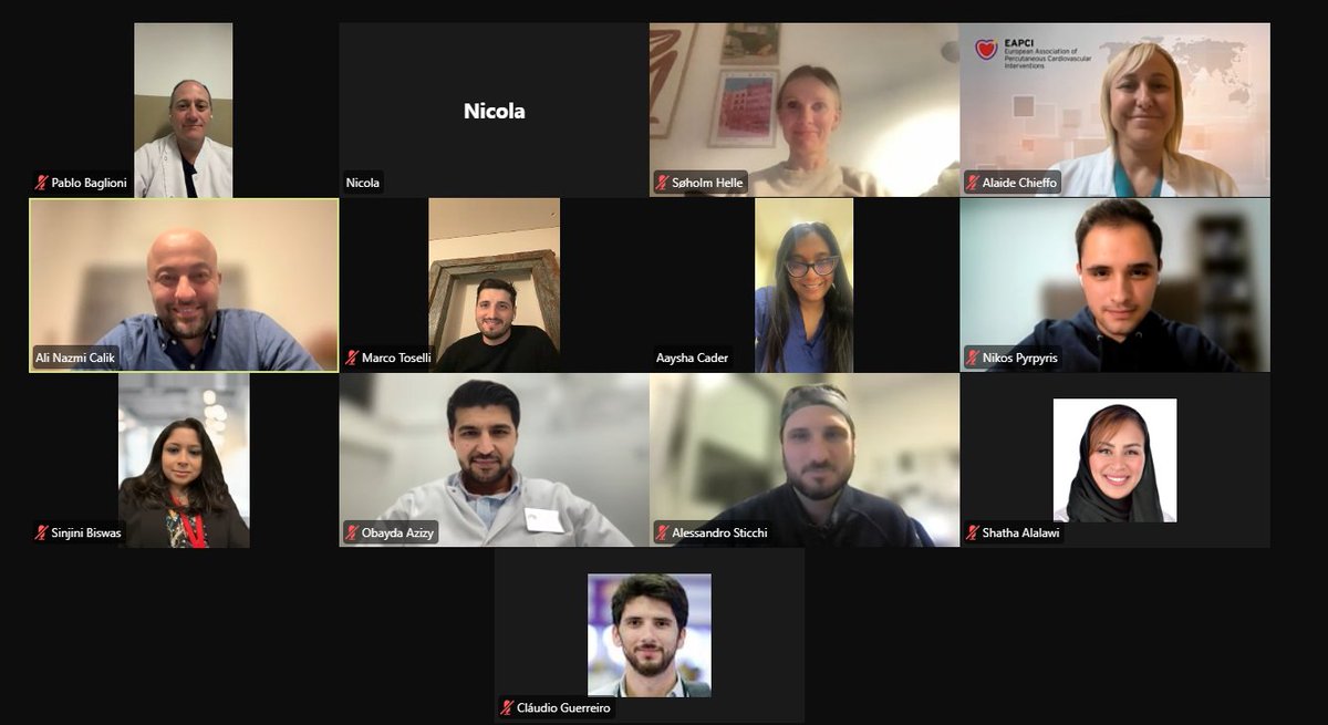 Very productive first meeting of the #EAPCI Online and Communications Committee.