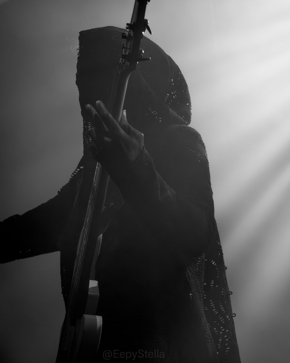 stella📷⚔️ tweet media