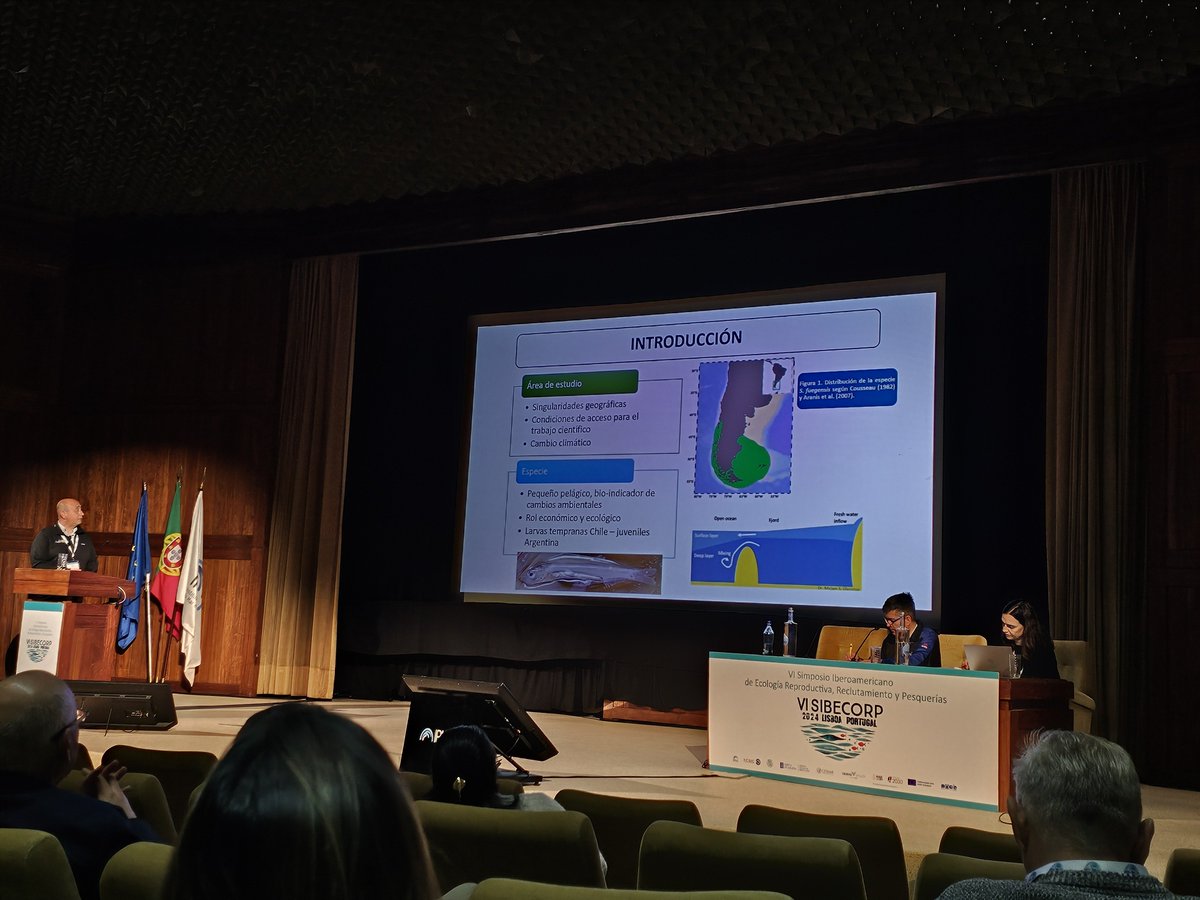 angelperea01's tweet photo. Del 11 al 15 de noviembre 2024 se llevó a cabo, en Lisboa-Portugal el “VI Simposio Iberoamericano de Ecología Reproductiva, Reclutamiento y Pesquerías (VI SIBECORP)”. Este simposio se realiza cada 3 años y su organización rota entre los países miembros de la red #INVIPESCA creada en el 2009 en Vigo. En Lisboa, se tuvo la oportunidad de actualizar y enriquecer los avances en estos estudios distribuidos en 4 sesiones que incluyen temas de gestión clave en el manejo y #sostenibilidad de las pesquerías y al mismo tiempo fue una oportunidad para involucrar, conocer y promover a nuevas generaciones de investigadores en la región dedicados a estas lineas de investigación.
En el caso del Perú, investigadores de #IMARPE mostraron sus avances en la variación temporal del ciclo reproductivo del recurso bonito; cambios en la estrategia reproductiva de la caballa peruana durante los eventos El Niño y La Niña; patrón reproductivo de pulpo, un caso exitoso de pesca en un área natural protegida bajo una cuota y extracción ordenada así como una actualización y comparación de la fecundidad del recurso jurel Trachurus murphyi (Nichols, 1920) luego de 36 años. El #jurel es un importante pez azul de alta biomasa vinculado a la seguridad alimentaria nacional. La actividad permitió además recibir sugerencias y realizar discusiones de pares científicos que enriquecieron el conocimiento, así como la manera de interpretar y abordar los procesos que permiten la renovación de los stocks logrando ampliar de manera conceptual el conocimiento y que hipótesis se podrían plantear para explicar estos cambios.