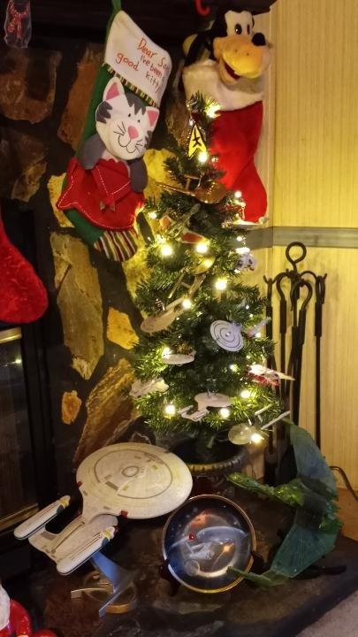 My husband Michael did a star trek christmas tree😁🎄