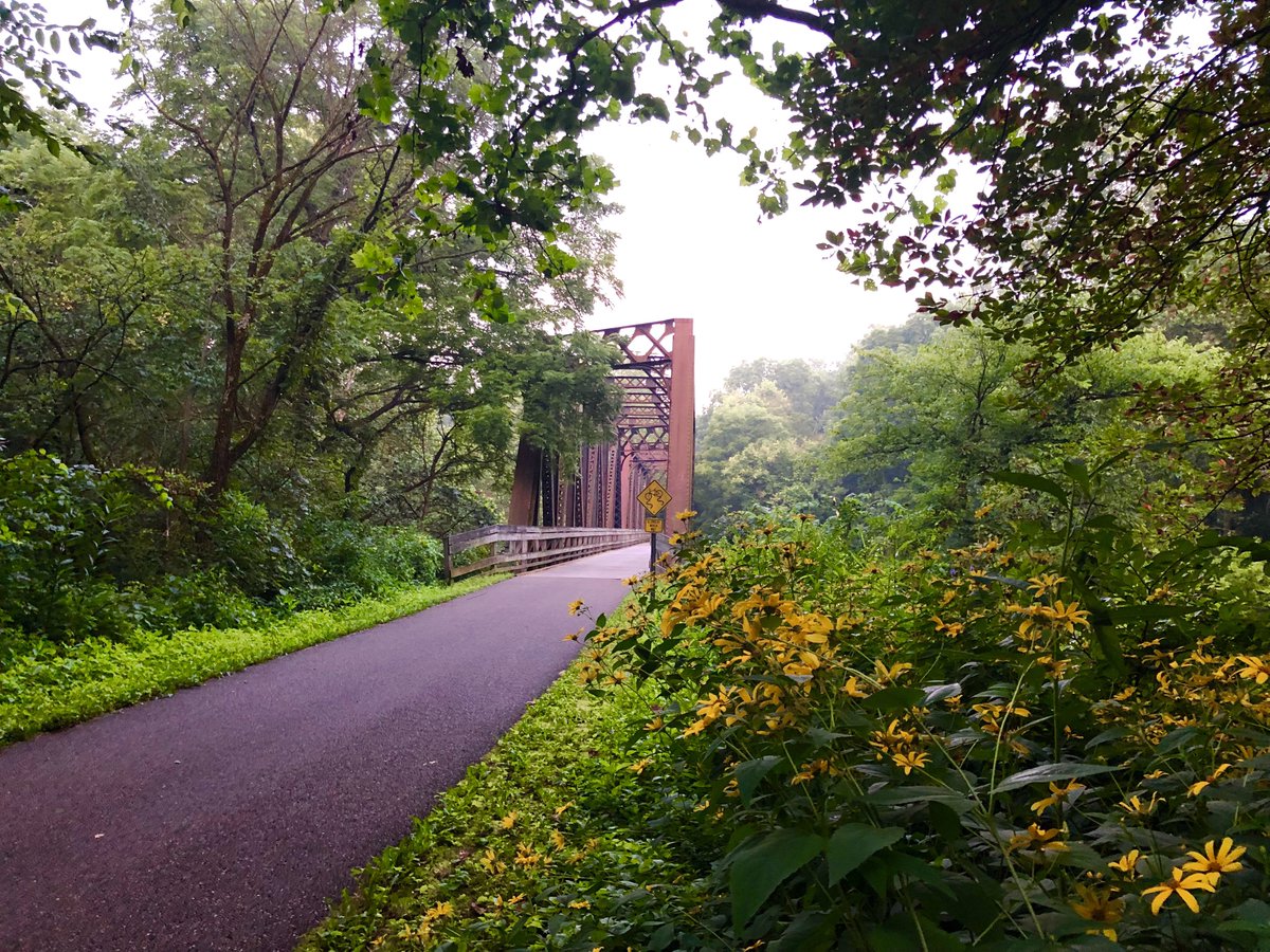 SamMillerSells's tweet photo. Beautiful wildflowers alongside the converted railroad bridge on the Kokosing Gap Trail Bike Path at the 1.5 mile marker in Mount Vernon, Ohio.  #wildflowers #bikepath #biketrails #railstotrails #kokosinggaptrail #kokosingriver #bikeride #mountvernonohio #ride #bike #cyclist #trek #run #runner #running #trail