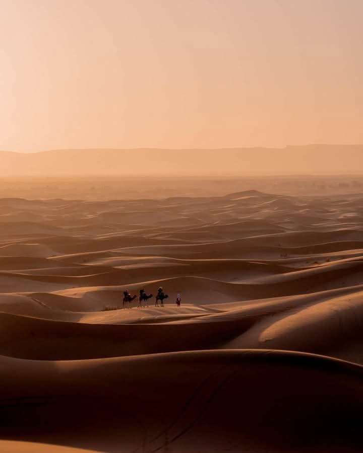 el_mrrakchii's tweet photo. Sahara Marocain #Merzouga 🇲🇦😇😍❤️
#Follow_up 🙏🌹 https://t.co/YBG6SVh2x0