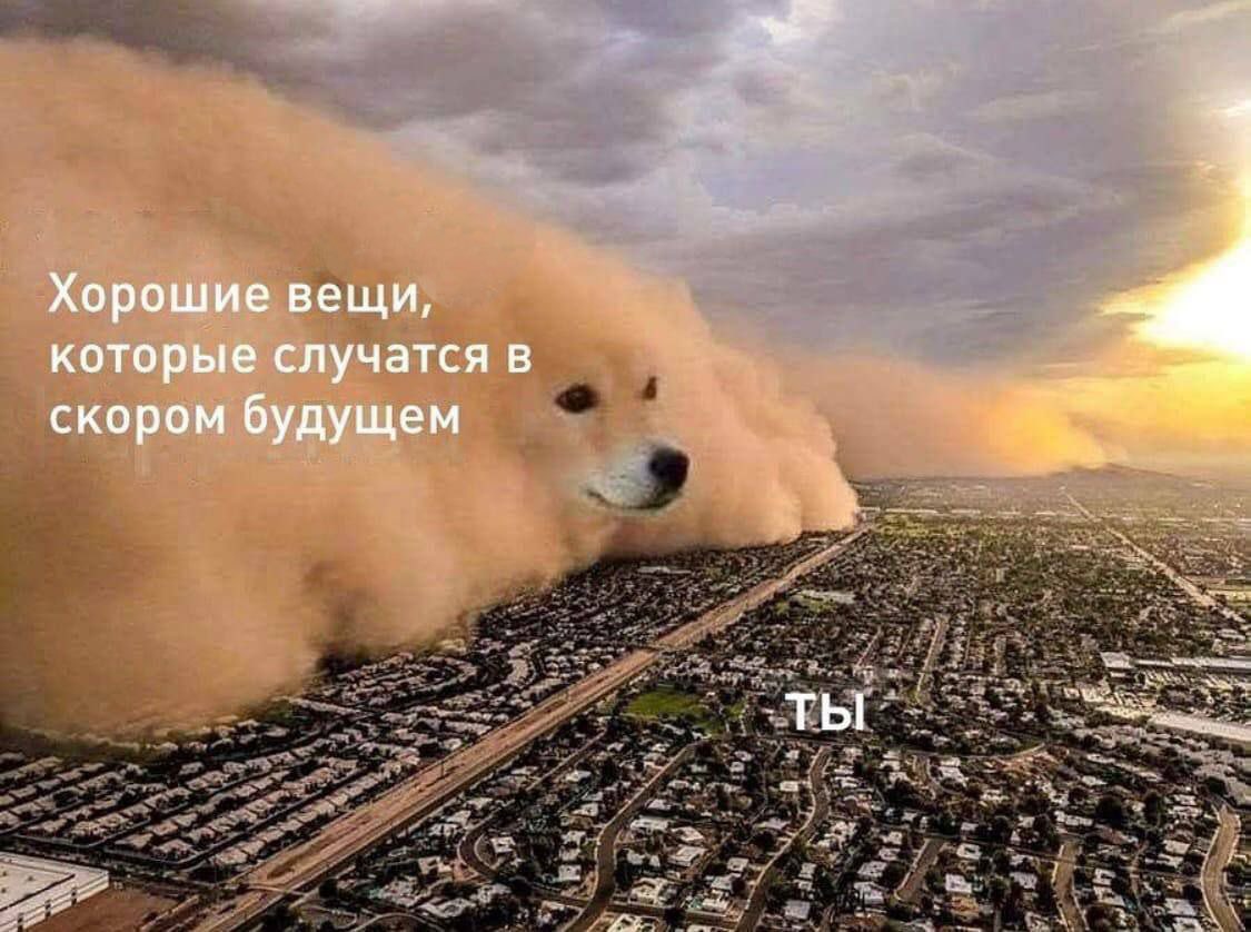 snncurd's tweet photo. @maratenson Я держу за вас кулачки
Не опускайте, пожалуйста, руки
Я верю, что у вас все получится наладить и жизнь будет сиять, словно вы и есть солнце https://t.co/otuGVa14U0