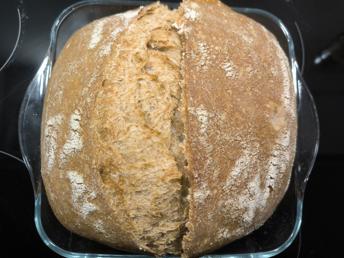 Pisidia15's tweet photo. Şarkı yazılası güzellikte oldu
#eksimayali ekmek 🍞 https://t.co/KPPYjucmxh
