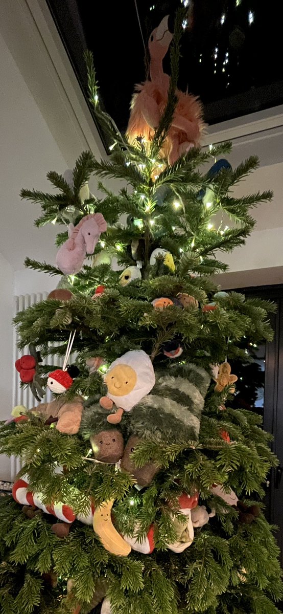 Tim_Cross's tweet photo. @jellycatlondon https://t.co/H6VxgPmEqJ