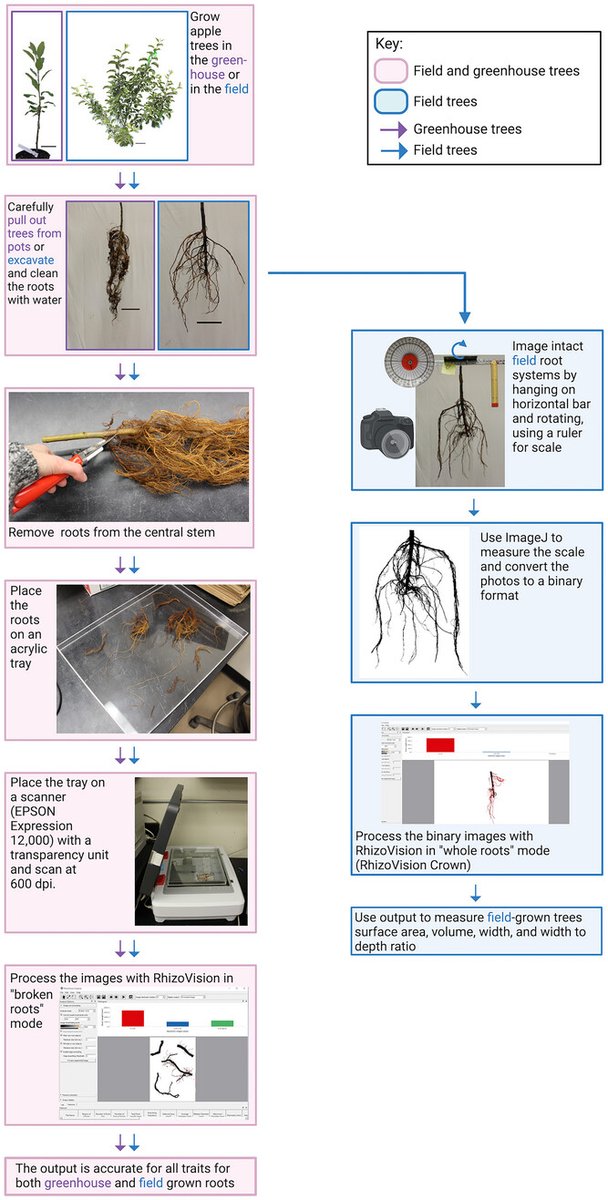 The Plant Phenome Journal tweet media