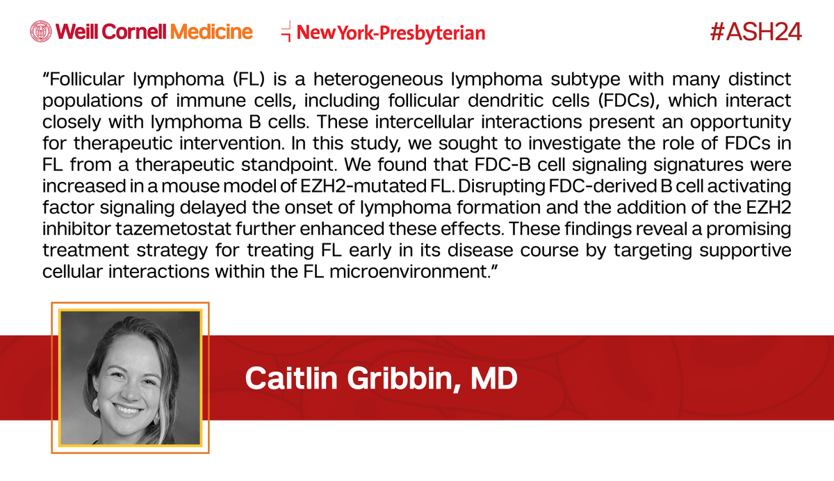 WCM Lymphoma (@wcmlymphoma) on Twitter photo Live from #ASH24: <a href="/CaitieGribbinMD/">Caitie Gribbin</a> presented on the role of follicular dendritic cells (FDCs) in follicular #Lymphoma bit.ly/4fXGSNY Live from #ASH24: <a href="/CaitieGribbinMD/">Caitie Gribbin</a> presented on the role of follicular dendritic cells (FDCs) in follicular #Lymphoma bit.ly/4fXGSNY