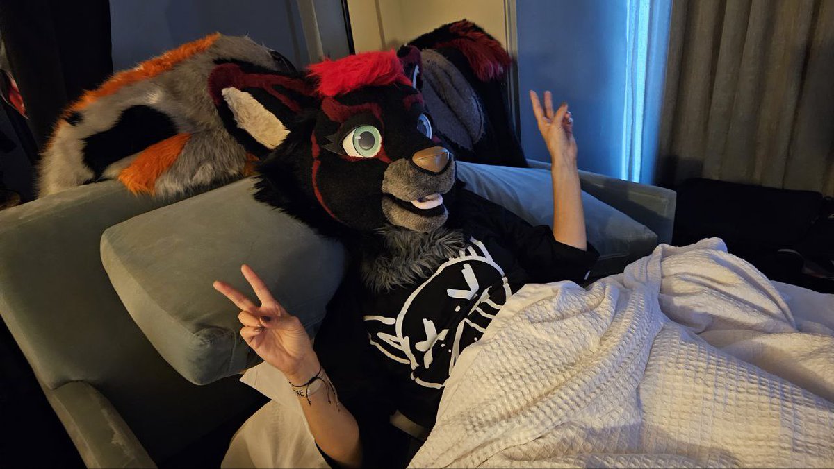 Awwww yeh finally a dog on MONDAY morning for two minutes at #FurFest2024 #chihuahuathings