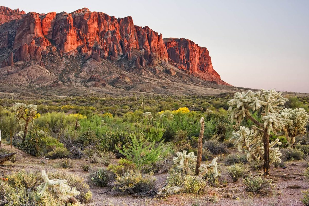 SecretFlying's tweet photo. Non-stop from #Detroit to #Phoenix, Arizona (&amp; vice versa) for only $139 roundtrip with Delta Air Lines #Travel

https://t.co/8yijDRPqfE https://t.co/GQQRElUQv9