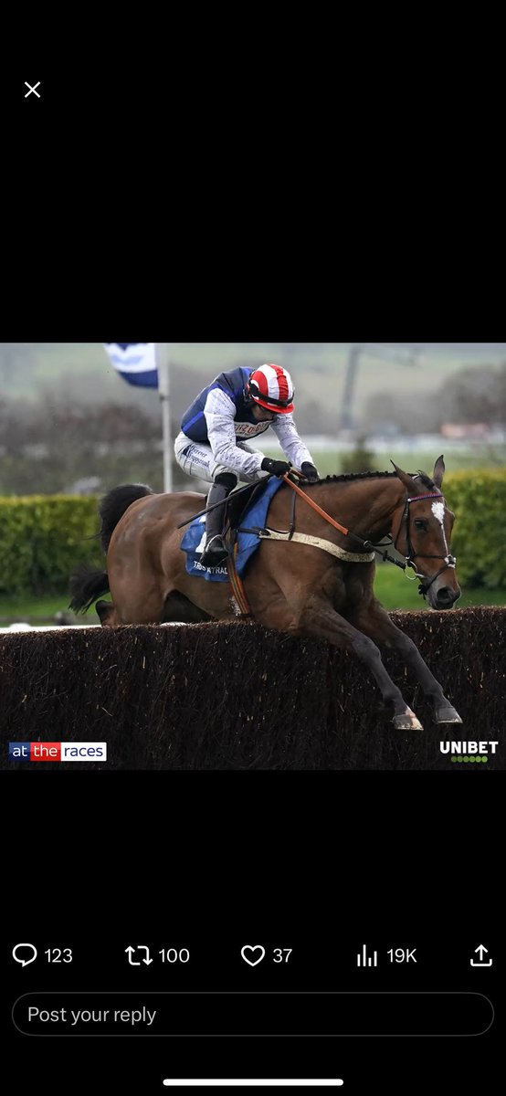NickGuiry's tweet photo. @AtTheRaces @UnibetRacing https://t.co/slXSwygaR8