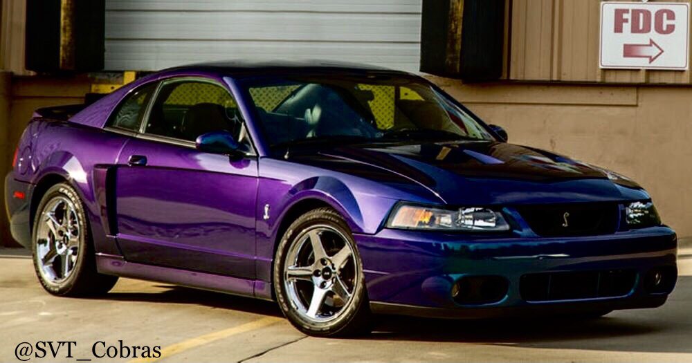 SVT_Cobras's tweet photo. #TerminatorTuesday | The rare 2004 Mystichrome SVT Cobra, aka The Terminator®….🔥
#Ford | #Mustang | #Cobra https://t.co/SEWTT26t11