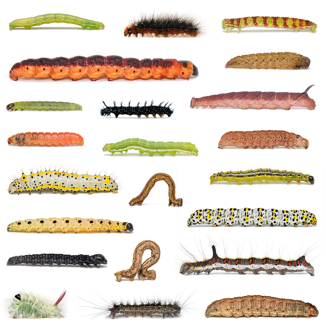 Thorben Danke tweet media