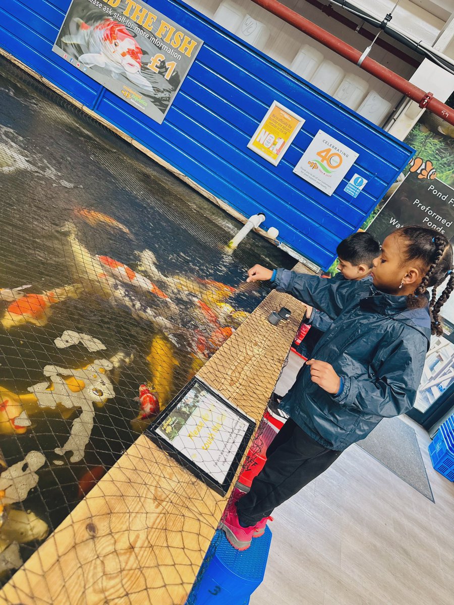 Lift Feversham tweet media