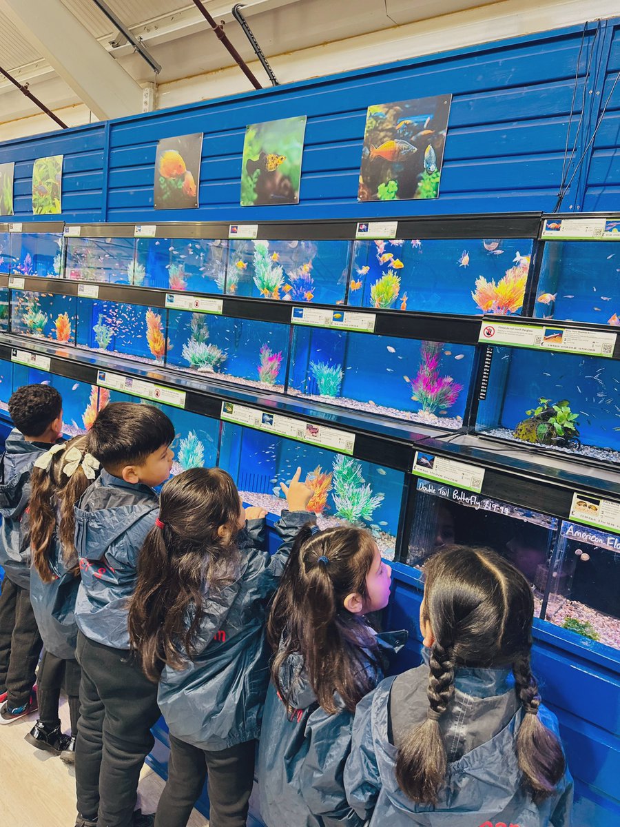 Lift Feversham tweet media