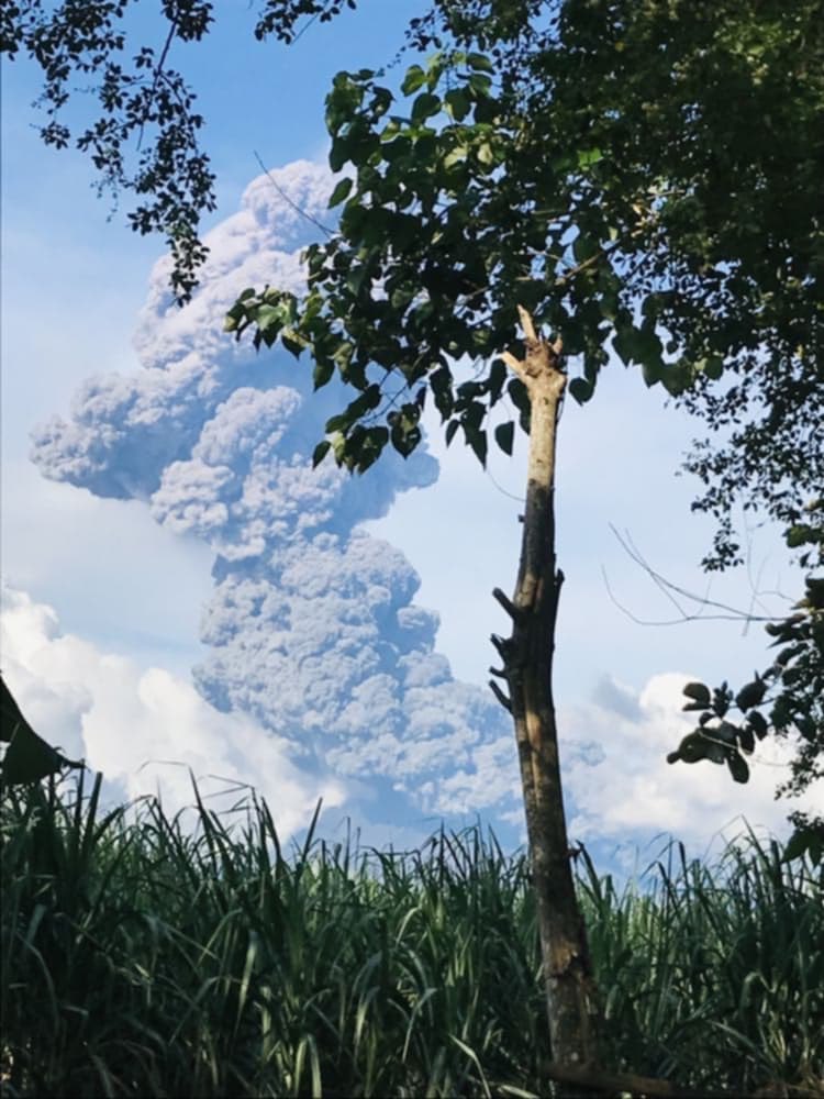 Based Bolo tweet media