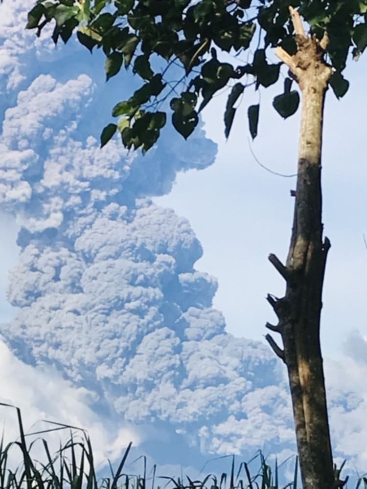 Based Bolo tweet media