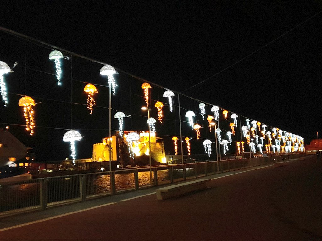 SilviaCorreia05's tweet photo. Christmas by the ocean 🎊
#FunchalPort #MadeiraIslands🏝 https://t.co/I7DMkFcjge