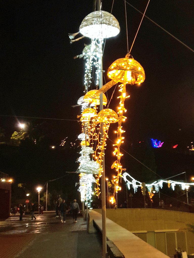 SilviaCorreia05's tweet photo. Christmas by the ocean 🎊
#FunchalPort #MadeiraIslands🏝 https://t.co/I7DMkFcjge