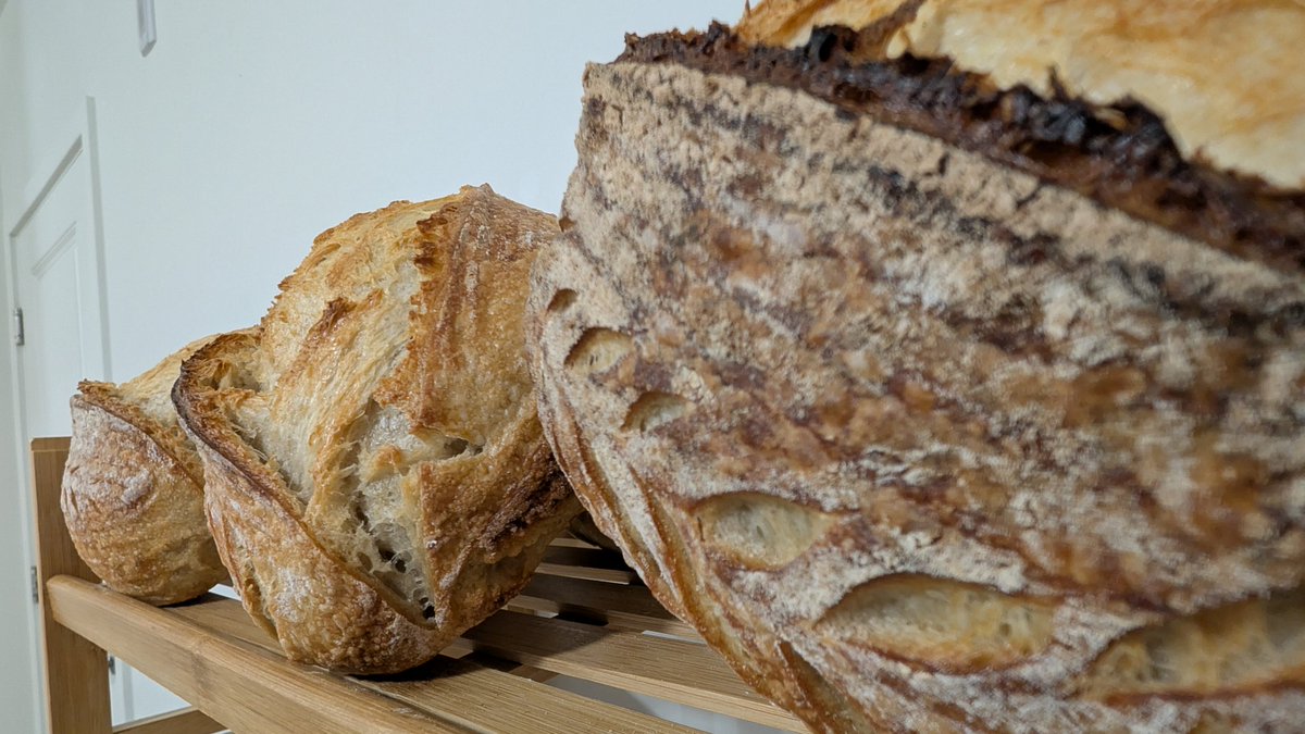 Kelemvore_'s tweet photo. I can't believe I made this! Is this real life? #Sourdough #microbaker https://t.co/EMSoWLwzYo