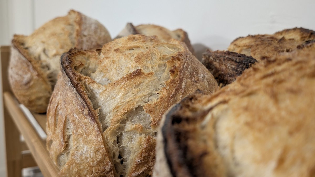 Kelemvore_'s tweet photo. I can't believe I made this! Is this real life? #Sourdough #microbaker https://t.co/EMSoWLwzYo