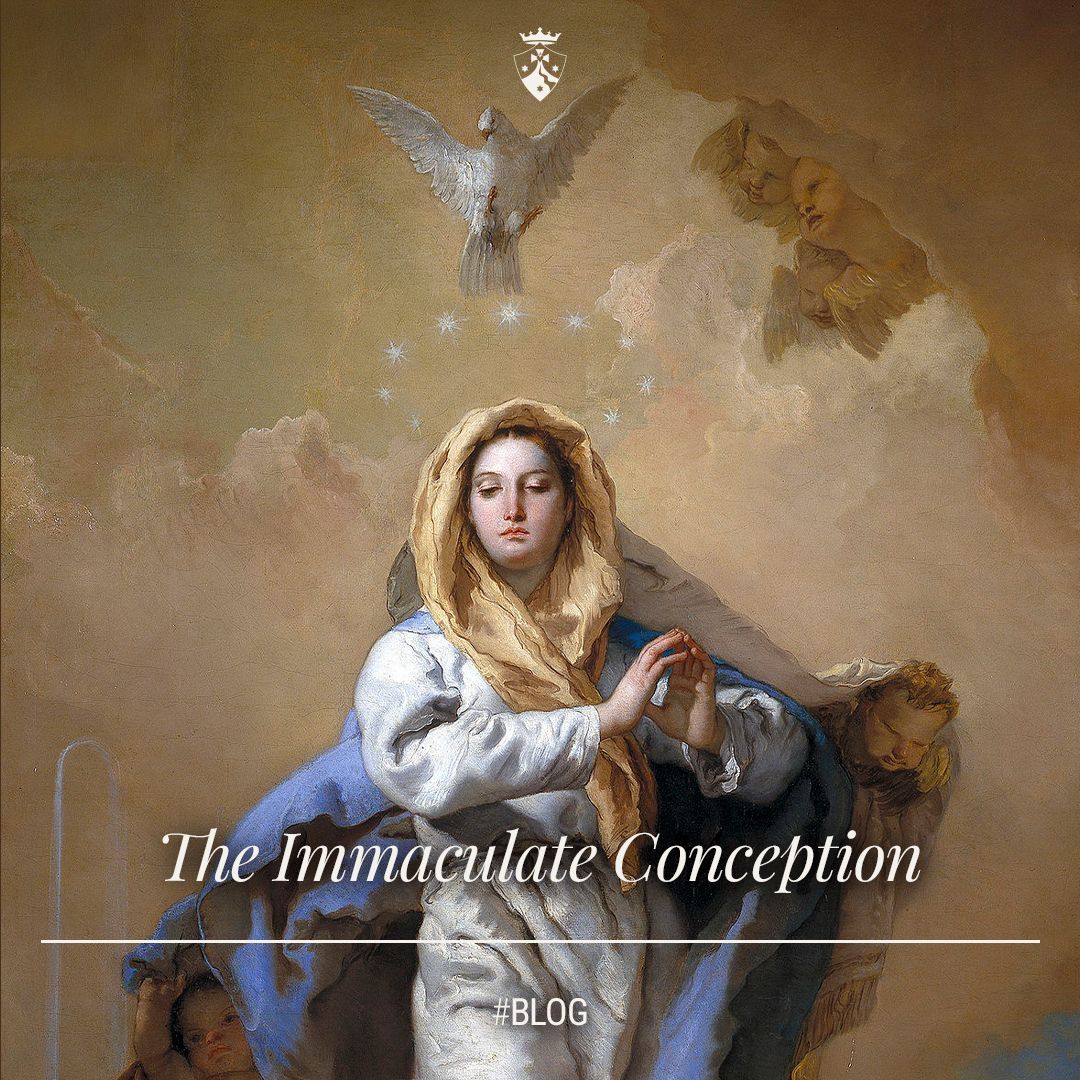 CarmelitesOCD's tweet image. "Every time we choose the good, no matter how small, we stand with the new Eve at the foot of His cross and participate in the salvation of the world." #readmore #blog #immaculateconception #solemnity buff.ly/3D5rfWl