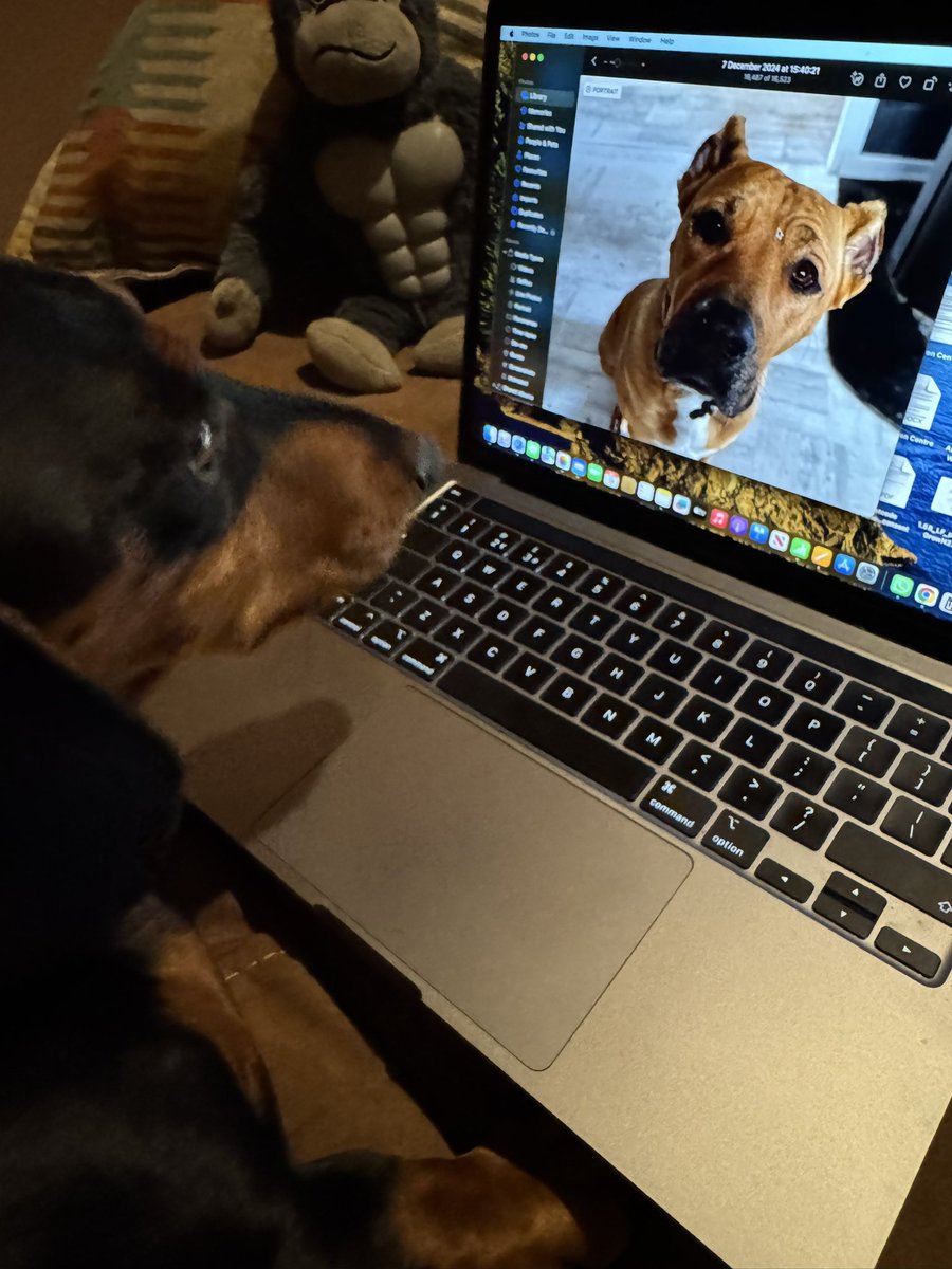 Ranger Duke tweet media