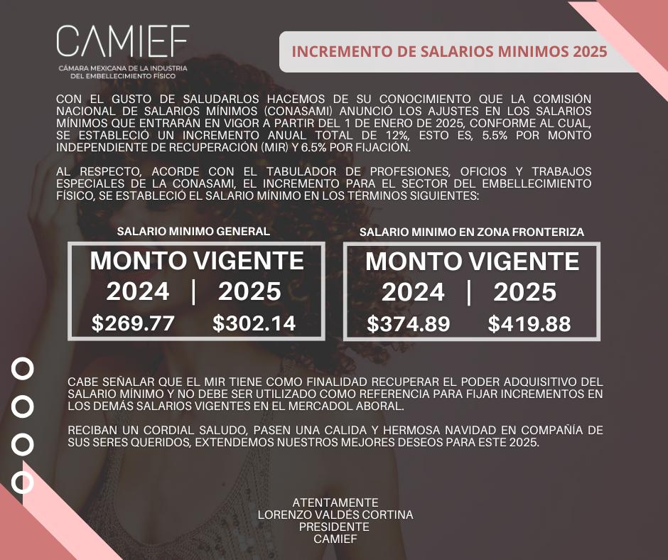 CAMIEFMX's tweet image. Incremento salarios mínimos 2025
#ComunidadCAMIEF #LaBellezaComoPrincipioLaExcelenciaComoFin #ServiciosCaMIEF #Certificaciones #DesarrolloPersonal #Conocimiento #Educación #Alianzas