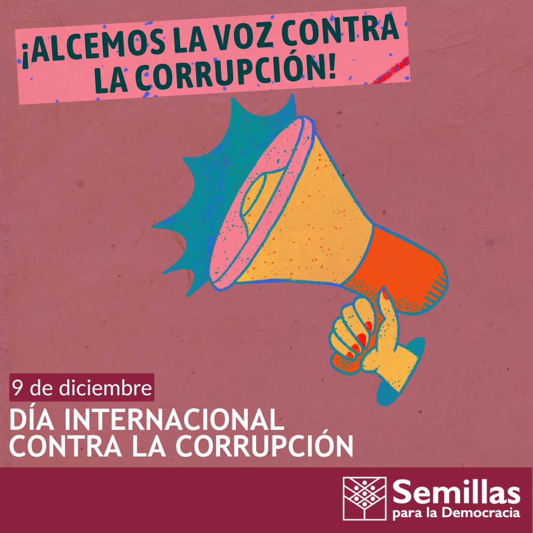 Semillas para la Democracia tweet media