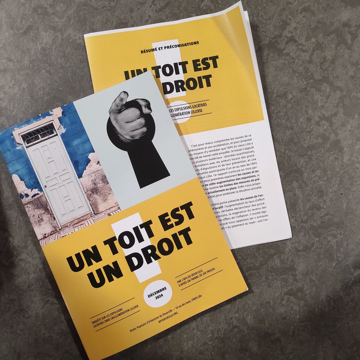 Très belle présentation de notre rapport sur les expulsions locatives dans l'agglomération lilloise ce samedi. Des arguments et de la force, un moment important et émouvant : merci à toutes les personnes présentes !
